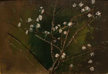 Blüte